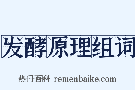 发酵原理组词是什么意思的图片